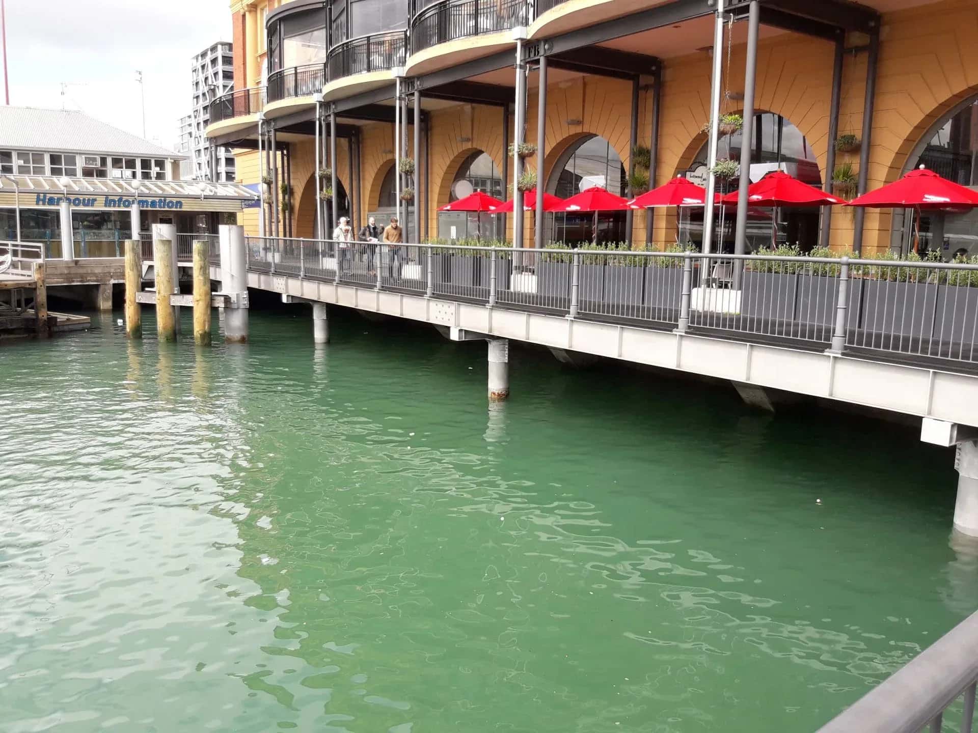Auckland Ferry Terminal Seawall Repair project